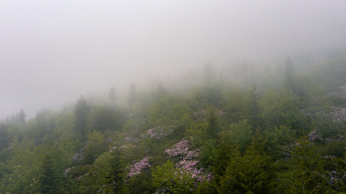 Giresun Fotoğrafları