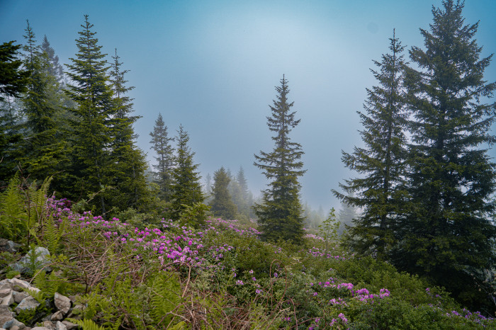 Giresun Fotoğrafları