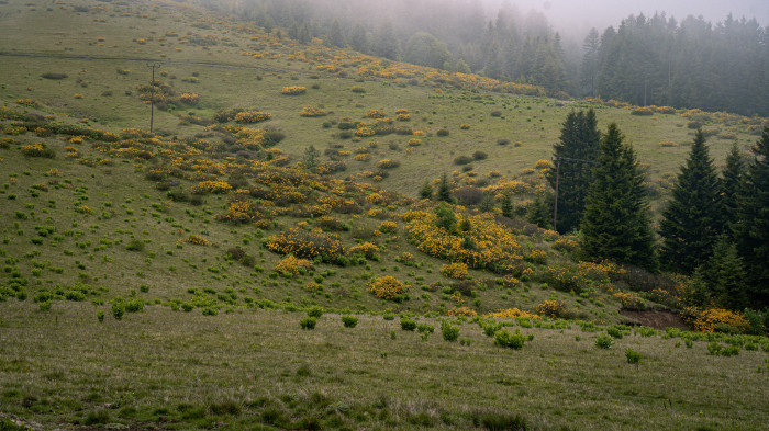 Giresun Fotoğrafları