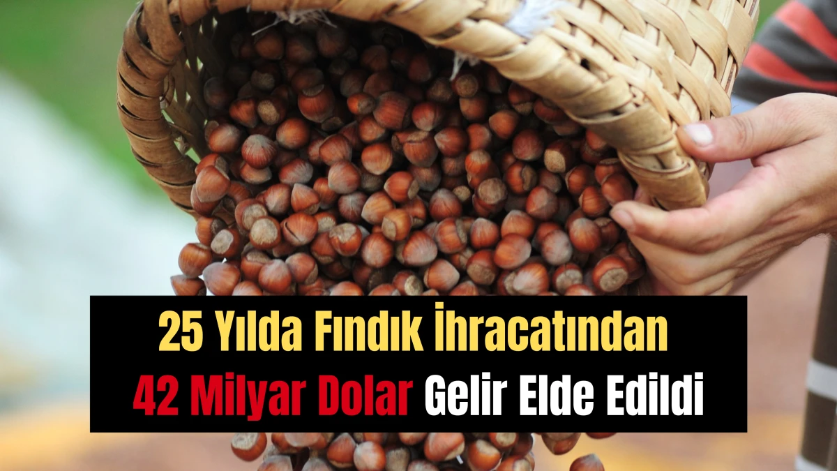 25 Yılda Fındık İhracatından 42 Milyar Dolar Gelir Elde Edildi