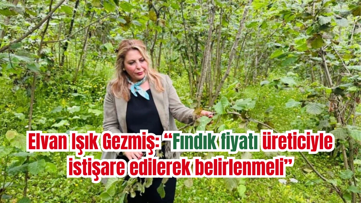 Elvan Işık Gezmiş: Fındık fiyatı üreticiyle istişare edilerek belirlenmeli