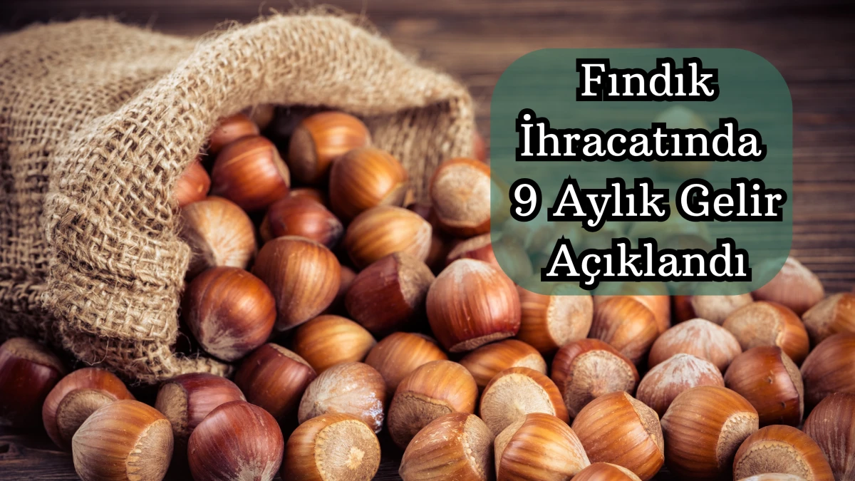 Fındık İhracatında 9 Aylık Gelir Açıklandı