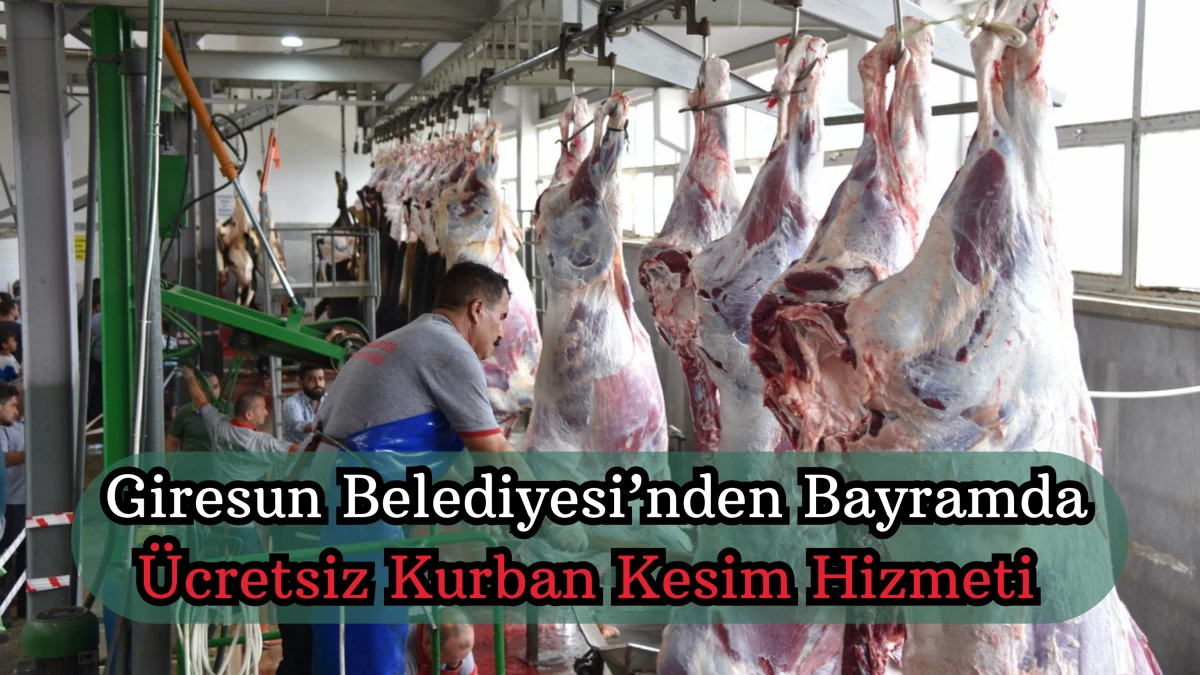 Giresun Belediyesi’nden Bayramda Ücretsiz Kurban Kesim Hizmeti 