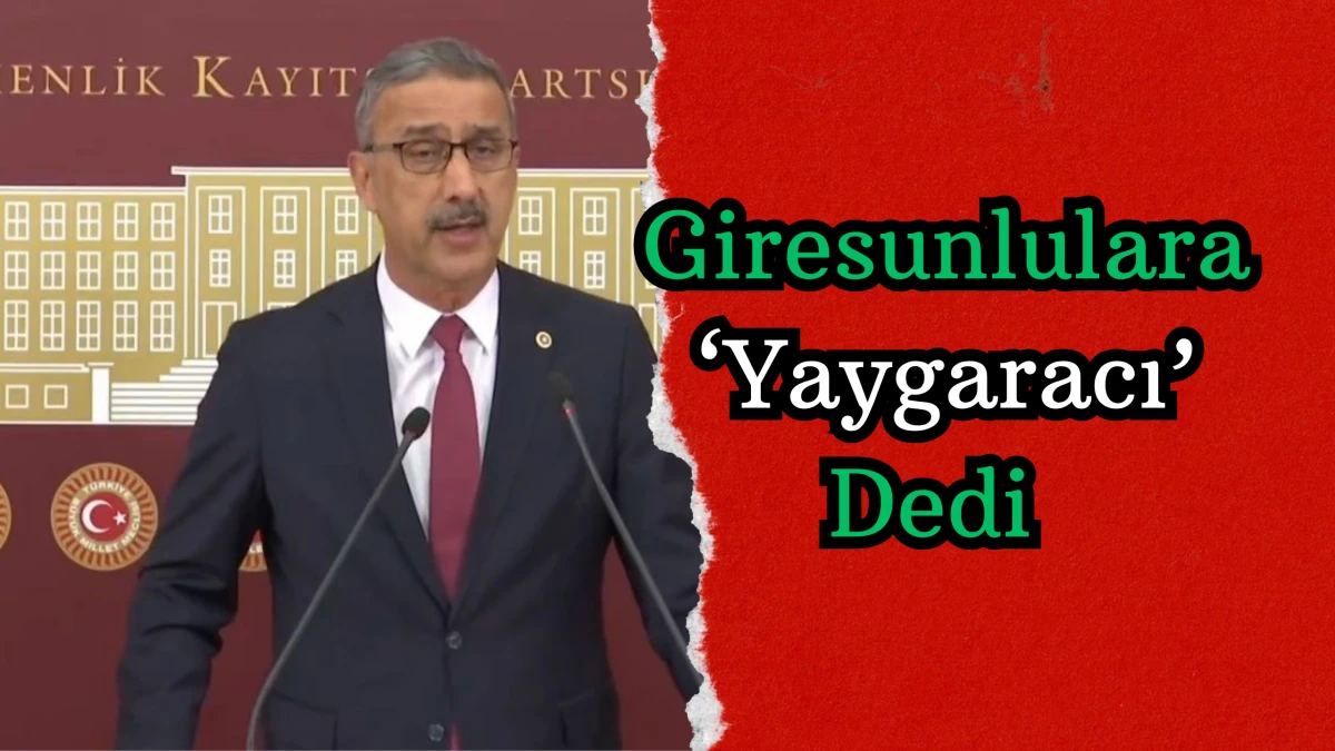 Lütfi Bayraktar Giresunlulara 'Yaygaracı' Dedi!